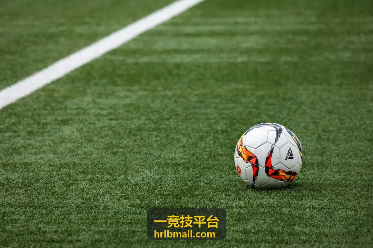 一竞技平台数据可视化引擎