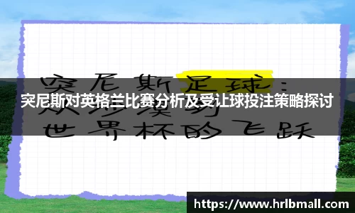 中欧体育网址