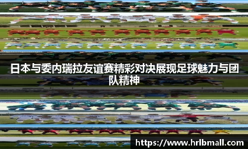 中欧体育